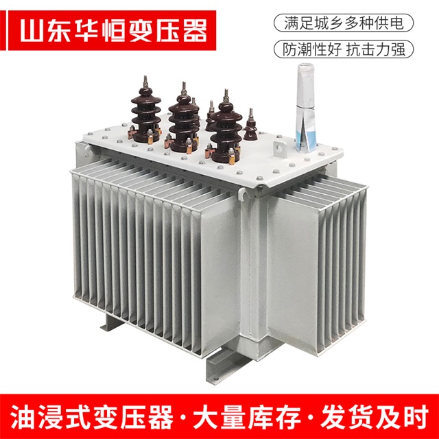 S13-10000/35新干新干新干油浸式变压器厂家